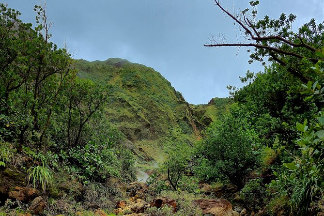 Full Day Hike Tour from Dominica - The guides and the feel of the day