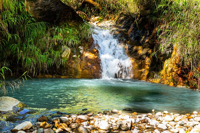 Full Day Hike Tour from Dominica - Who should book this hike