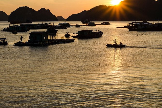 Full day hikes, Cycles, Kayaks & swims in Cat Ba National park - The morning hike through Cat Ba National Park