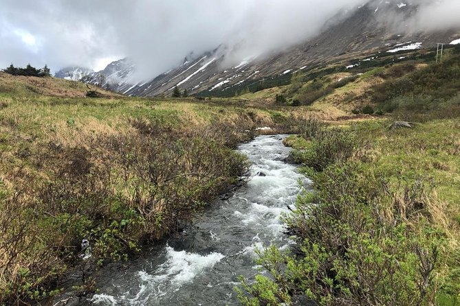 Full day Hiking Adventure - Wildlife watching with practical guidance