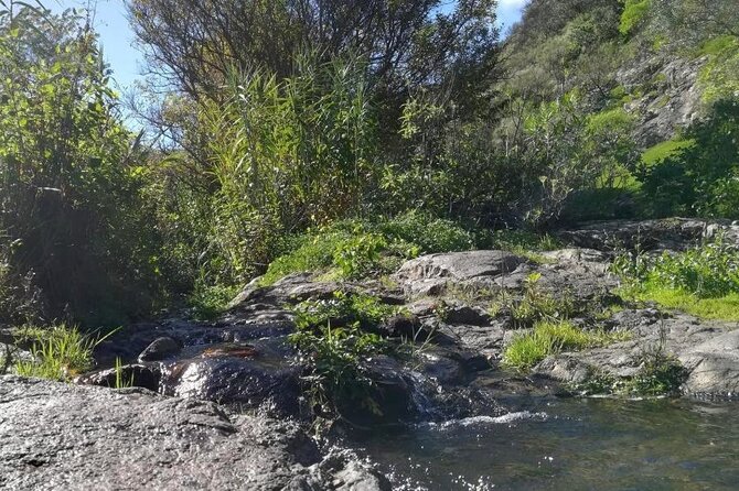 Full day Hiking and Waterfalls Experience - What the small group changes