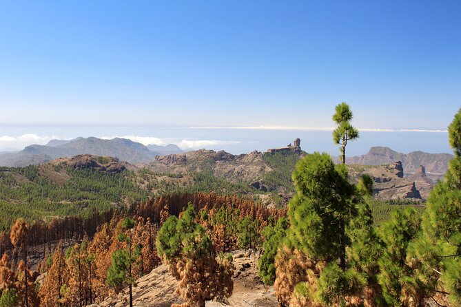 Full day Hiking Gran Canaria Peaks of Gran Canaria - Seasonal changes from spring to autumn