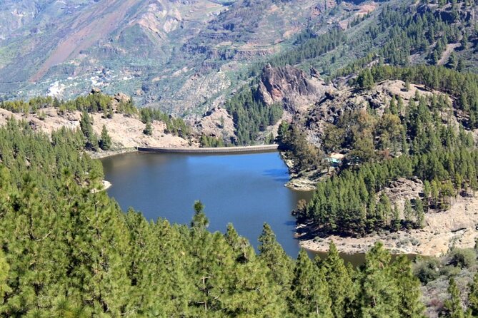 Full day Hiking Gran Canaria Peaks of Gran Canaria - Is the $84.66 price good value?
