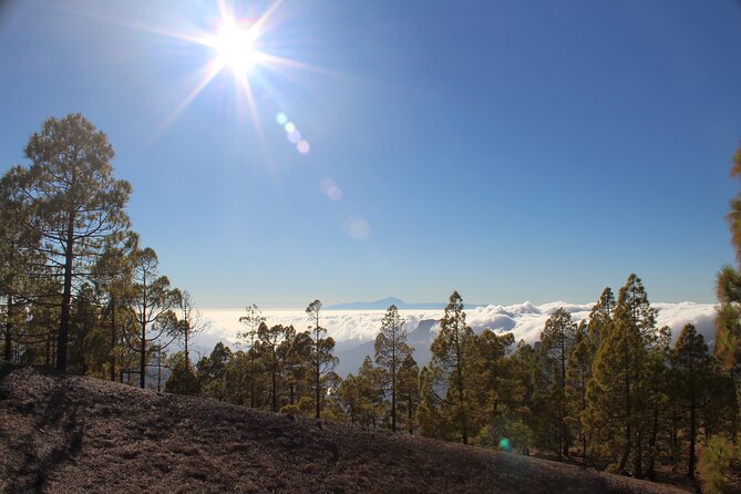 Full day Hiking Gran Canaria Peaks of Gran Canaria - Maciej’s guiding style and the small-group advantage