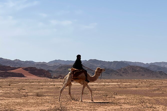 Full-Day Hiking in Wadi Rum's Desert with Lunch - Soft sand at the dunes