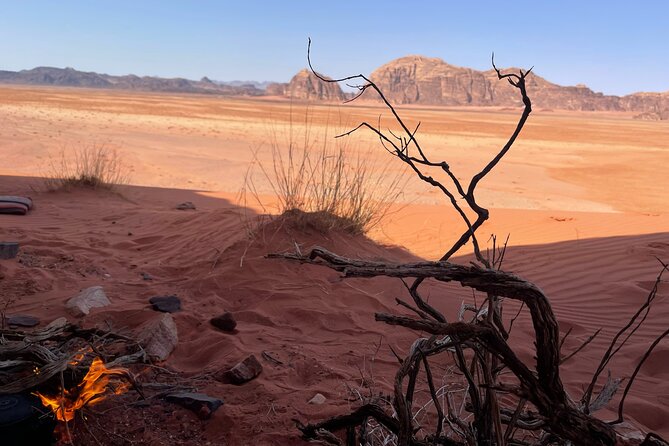 Full-Day Hiking in Wadi Rum's Desert with Lunch - Is $70 good value?