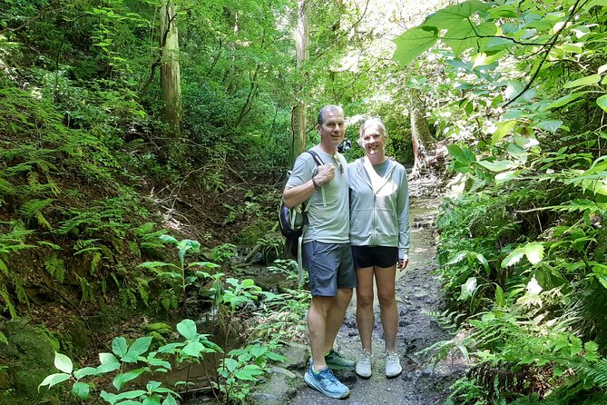 Full Day Hiking Tour at Mt.Takao including Hot Spring - Why Mt. Takao makes a good Tokyo escape