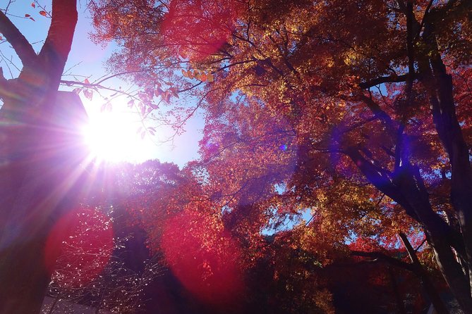 Full Day Hiking Tour at Mt.Takao including Hot Spring - Choosing the trail that fits your legs