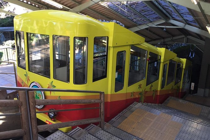Full Day Hiking Tour at Mt.Takao including Hot Spring - Yakuo-in Temple and the sacred side of the mountain