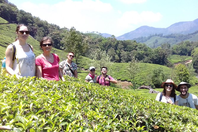 Full day in hiking in Munnar (By Munnar Info) - Four hours among the Kannandevan tea plantations