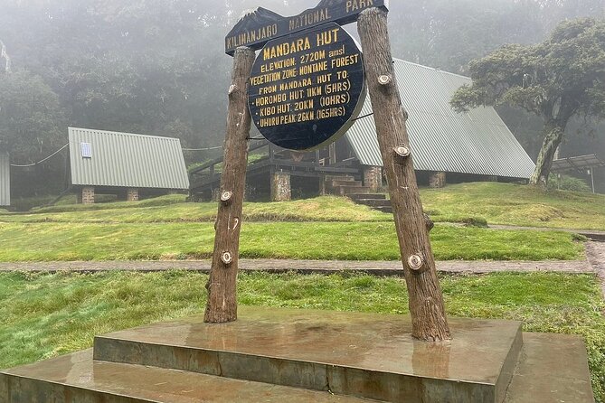 Full Day Private Hiking Tour to Kilimanjaro Mountain - Reaching Mandara Hut for lunch