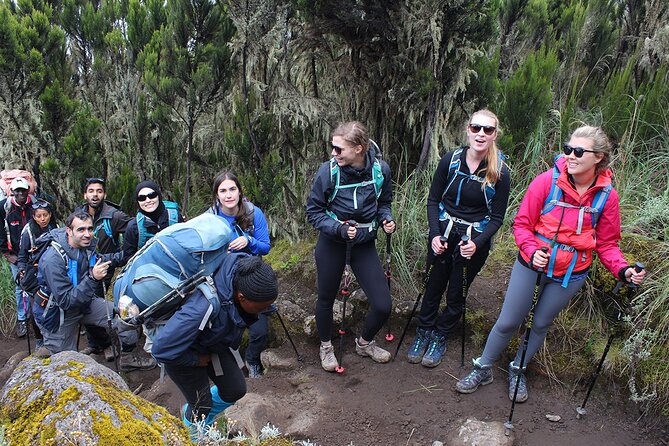 Full Day Private Hiking Tour to Kilimanjaro Mountain - The descent can be the hardest part