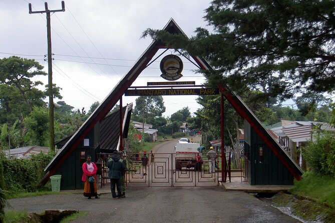 Full Day Private Hiking Tour to Kilimanjaro Mountain - What the $250 price really covers