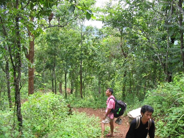 Full Day Trek to Kuang Si Waterfalls, Remote Village - Following the water to the rice farm