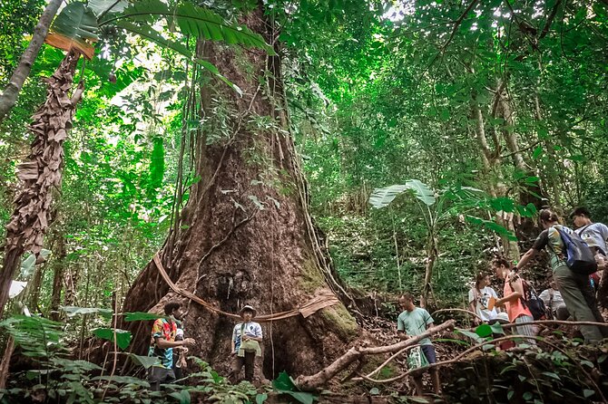 Full-Day Trekking and Sightseeing Tour in Mae Kampong - Why Mae Kampong makes a good day outside Chiang Mai