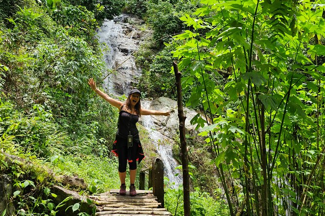 Full-Day Trekking and Sightseeing Tour in Mae Kampong - The forest trail, old trees, and useful plants