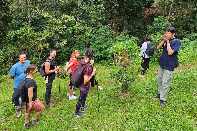 Full-Day Trekking and Sightseeing Tour in Mae Kampong - How much value do you get for $81.44?