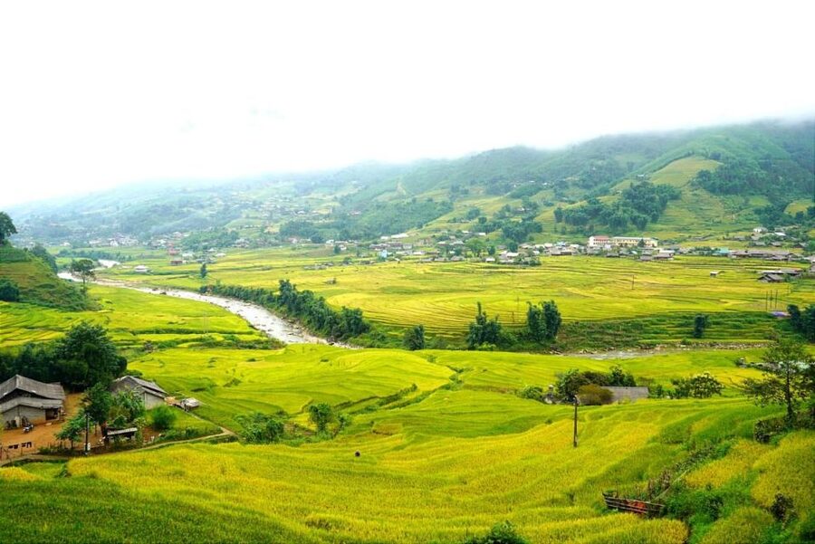 Full Day Trekking Lao Chai-Ta Van and Cat Cat Village - Why the Muong Hoa Valley walk is the main event