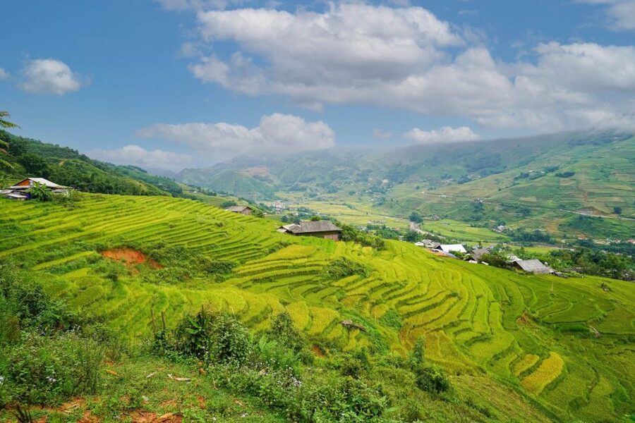 Full Day Trekking Lao Chai-Ta Van and Cat Cat Village - The transport breaks keep the day manageable