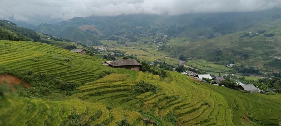 Full Day Trekking Lao Chai-Ta Van and Cat Cat Village - What the $46 price really covers
