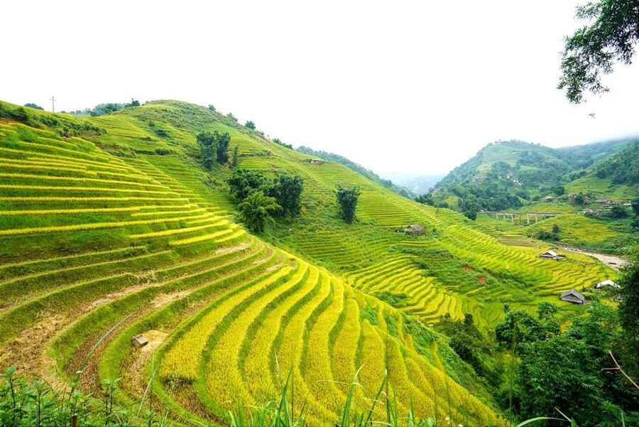 Full Day Trekking Lao Chai-Ta Van and Cat Cat Village - Lao Chai and Ta Van, two villages with different character