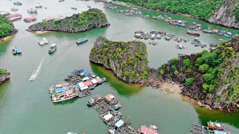 Fullday Trekking in Cat Ba National Park to Viet Hai Village - Who should book this trek