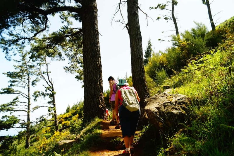 Funchal: Pico do Arieiro Sunrise Plus 2 extra Hiking Trails - PR3, Madeira’s old Donkey Trail