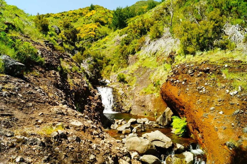 Funchal: Pico do Arieiro Sunrise Plus 2 extra Hiking Trails - Finishing in Monte or returning to Funchal