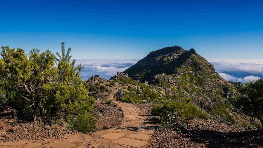 Funchal: PR1.2 Pico Ruivo & Achada Teixeira Hiking Transfer - Key points to know before booking