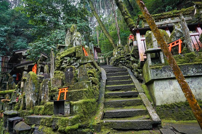 Fushimi Inari Hidden Hiking Tour (Private Option Available) - The best time to go