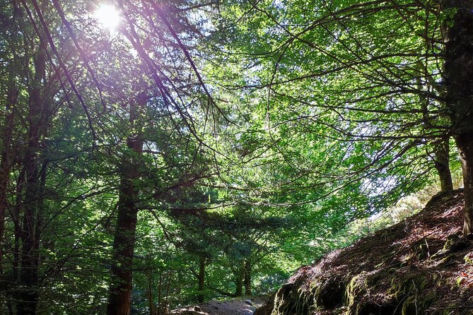 Gastro hike (Private Tour) - What Claudio Adds Along the Way