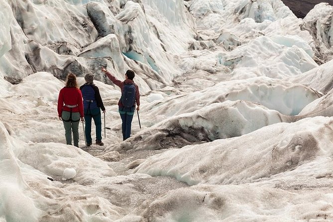 Glacier Hike from Skaftafell - Extra Small Group - About 90 minutes exploring the ice