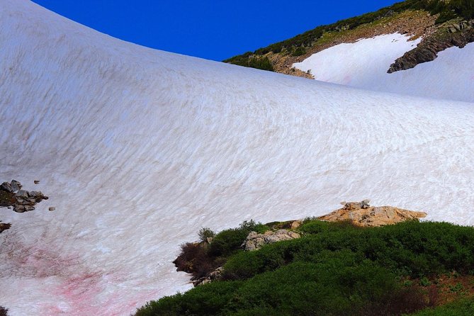 Glacier Hiking & Geothermal Cave Pools Tour - Why this Denver day trip works so well