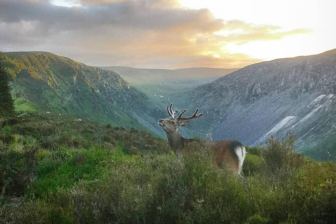 Glendalough Night Hike and History Tour - The lakes at sunset