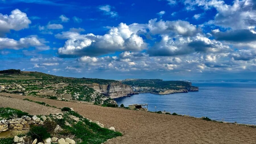 Gozo Unveiled Hiking: A Guided Hike Tour in Gozo - The West - Cliff paths, plants, birds, and rough ground