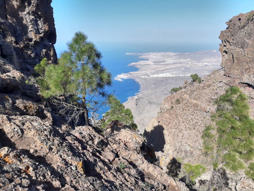 Gran Canaria: Full-Day Guided Hiking With Snacks - Maciej and the value of a small group