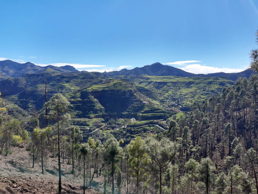 Gran Canaria: Full-Day Guided Hiking With Snacks - Lunch is a real part of the day