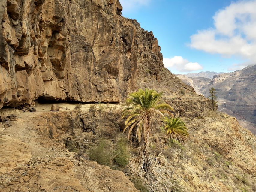 Gran Canaria: Full-Day Guided Hiking With Snacks - Booking details worth getting right