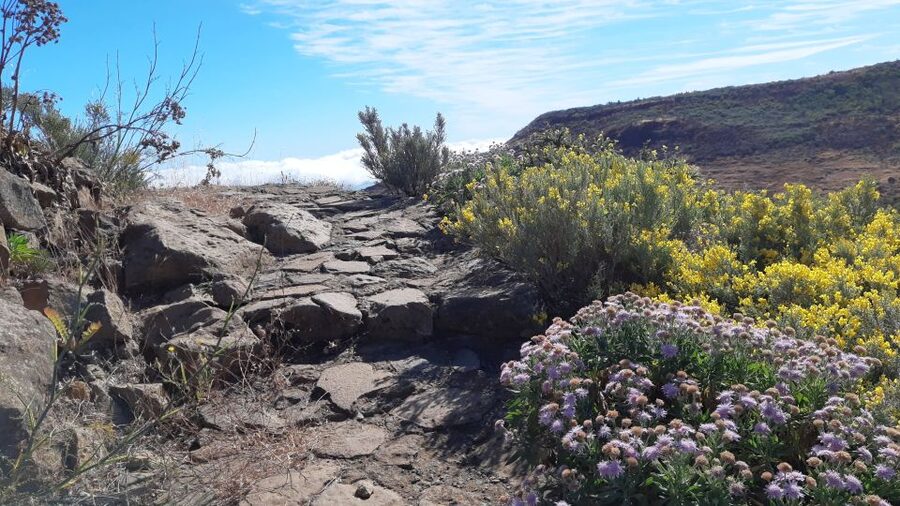 Gran Canaria: Full-Day Guided Hiking With Snacks - What the morning pickup really means