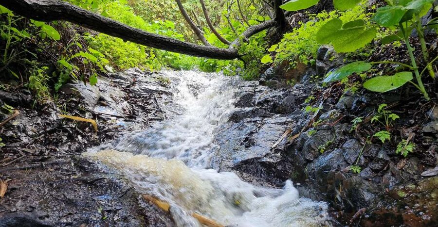 Gran Canaria: "Magic Waterfalls" Hiking Tour - Key points to know before booking