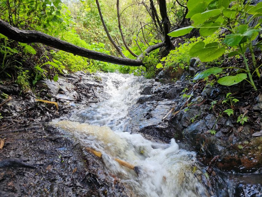 Gran Canaria: "Magic Waterfalls" Hiking Tour - The guide and the feel of an eight-person group