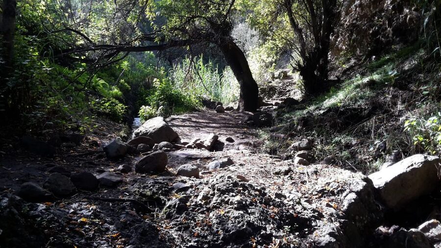 Gran Canaria: "Magic Waterfalls" Hiking Tour - Practical details for a smoother day