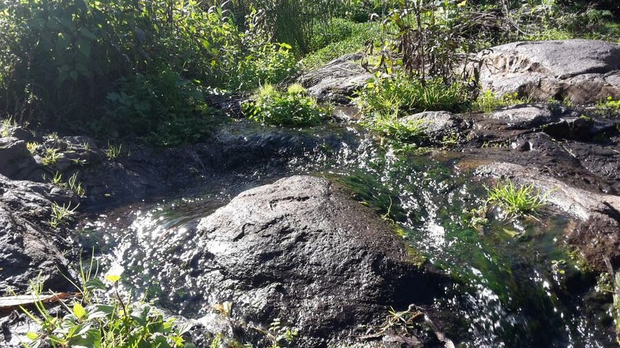 Gran Canaria: "Magic Waterfalls" Hiking Tour - A small-group ride to the trail