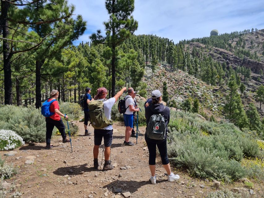 Gran Canaria: "Peaks of Gran Canaria" Hiking Tour - Key points to know before booking