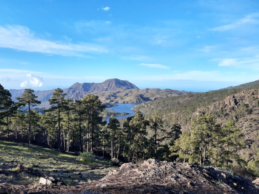 Gran Canaria: "Peaks of Gran Canaria" Hiking Tour - From the coast to Pico de las Nieves