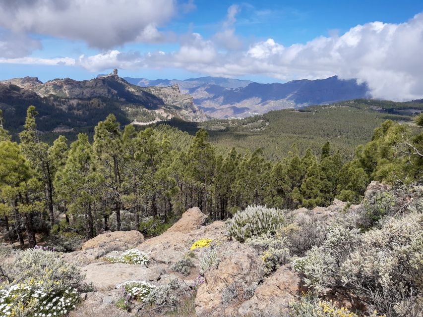 Gran Canaria: "Peaks of Gran Canaria" Hiking Tour - What the $82 price really covers