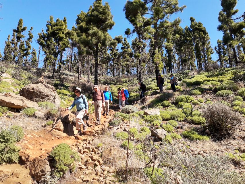 Gran Canaria: "Peaks of Gran Canaria" Hiking Tour - Who should book this mountain day