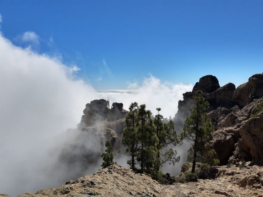Gran Canaria: "Peaks of Gran Canaria" Hiking Tour - Should you book Peaks of Gran Canaria?