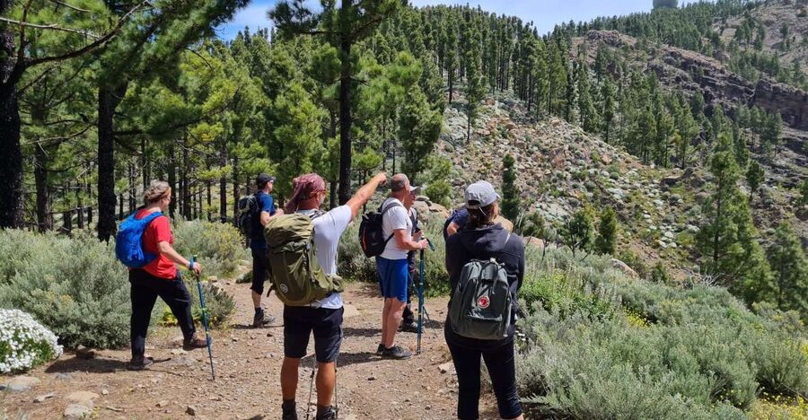 Gran Canaria: "Peaks of Gran Canaria" Hiking Tour - Walking among pines, rocks, and high ridges