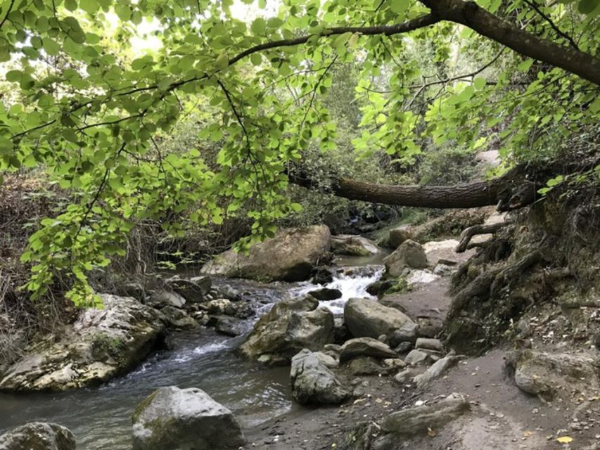 Granada: Guided Day Hike in Los Cahorros de Monachil - From Granada to the Monachil trailhead